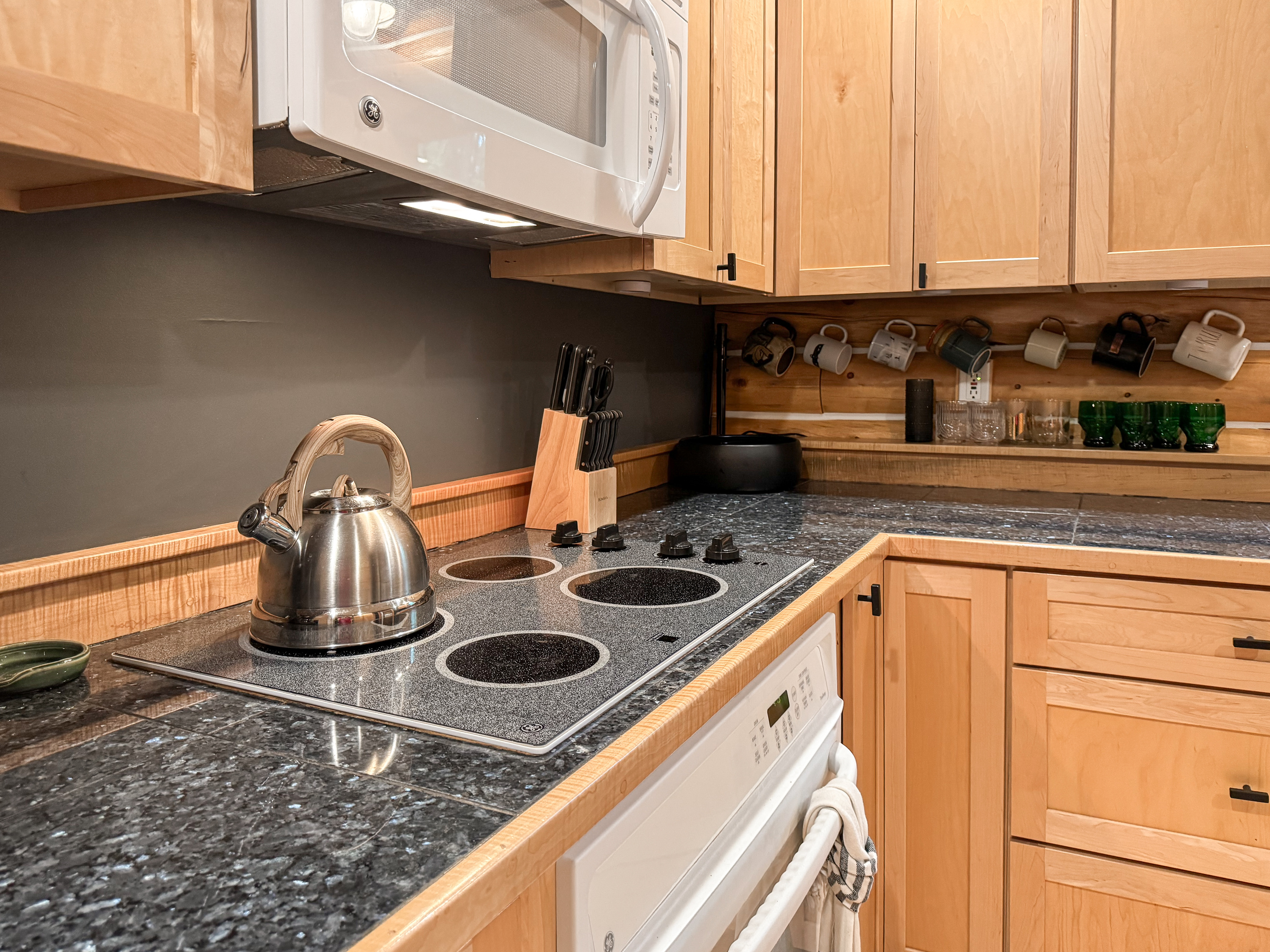 Electric Stove