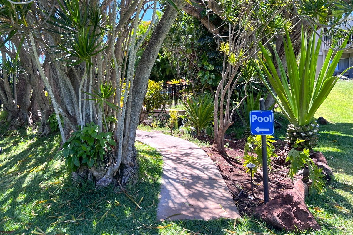 Walkway to pool