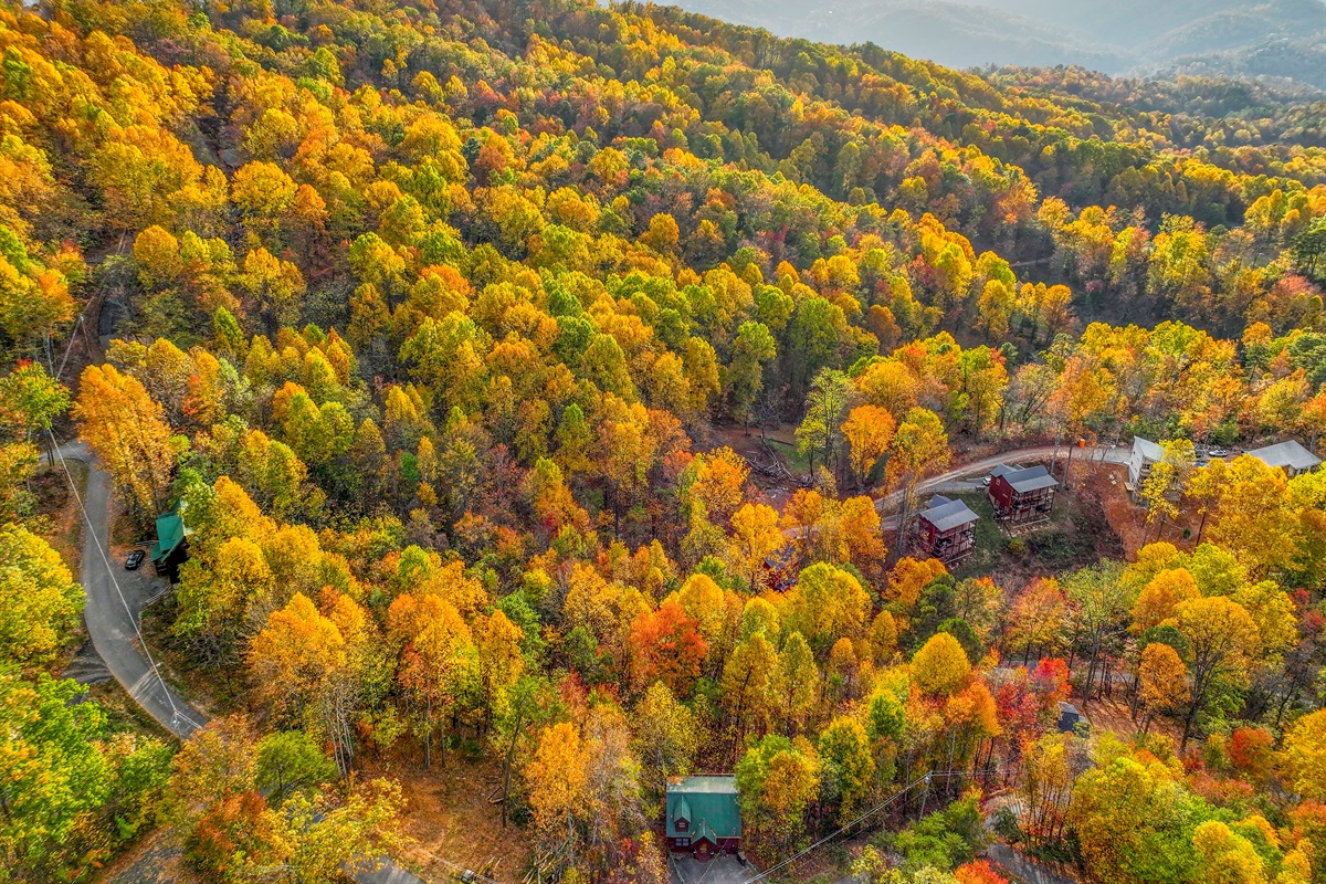 An aerial view of a serene autumn landscape, where vibrant hues of gold, orange, and red blanket the forest. Cozy cabins nestle among the trees, with majestic mountains rising in the distance.