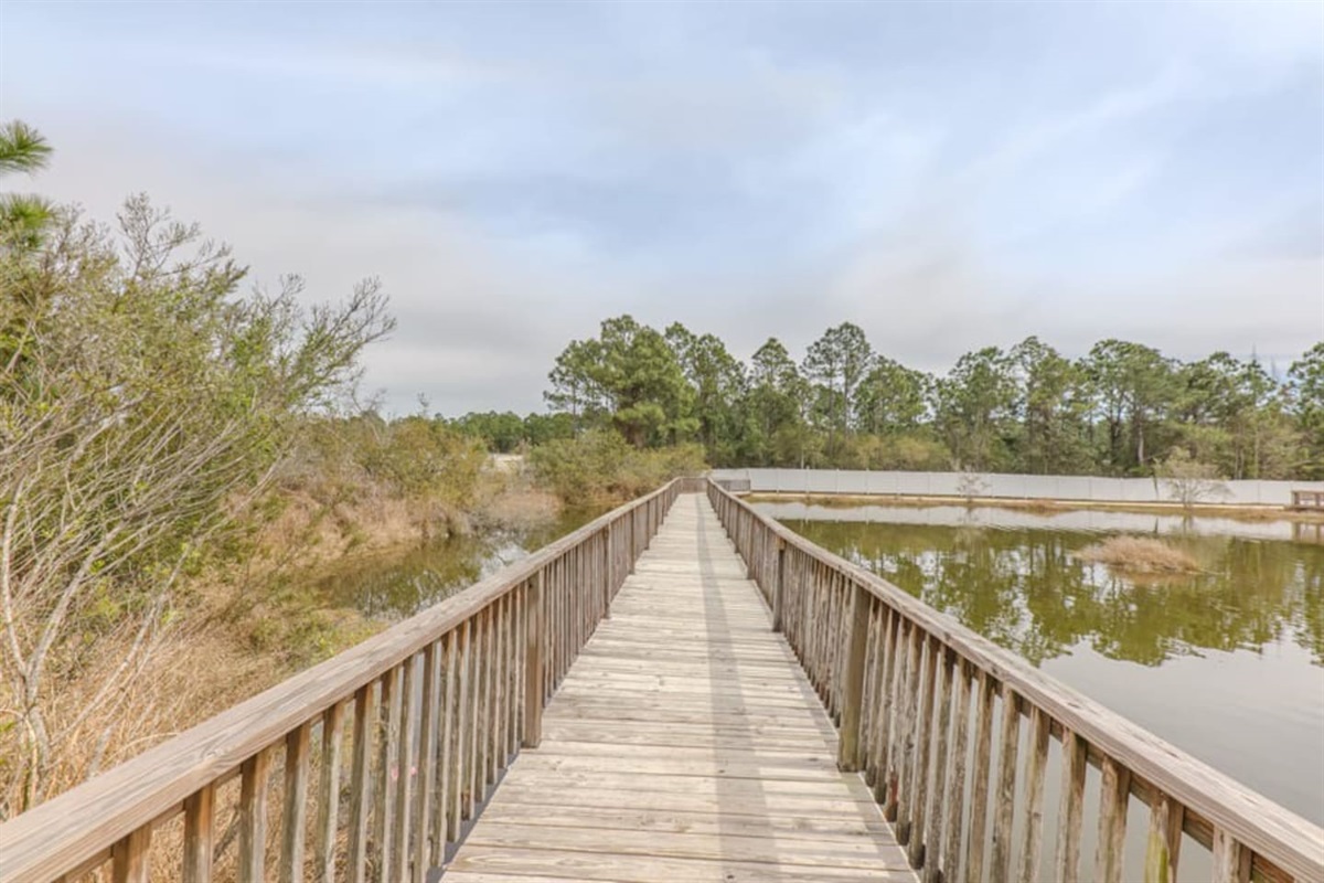 Scenic Boardwalk: Stroll along tranquil pathways surrounded by nature's beauty!