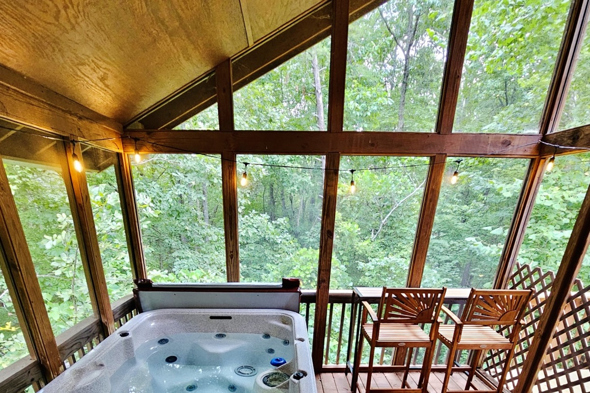 Screen Porch with Hot Tub and Bar Overlooking Natural Landscape