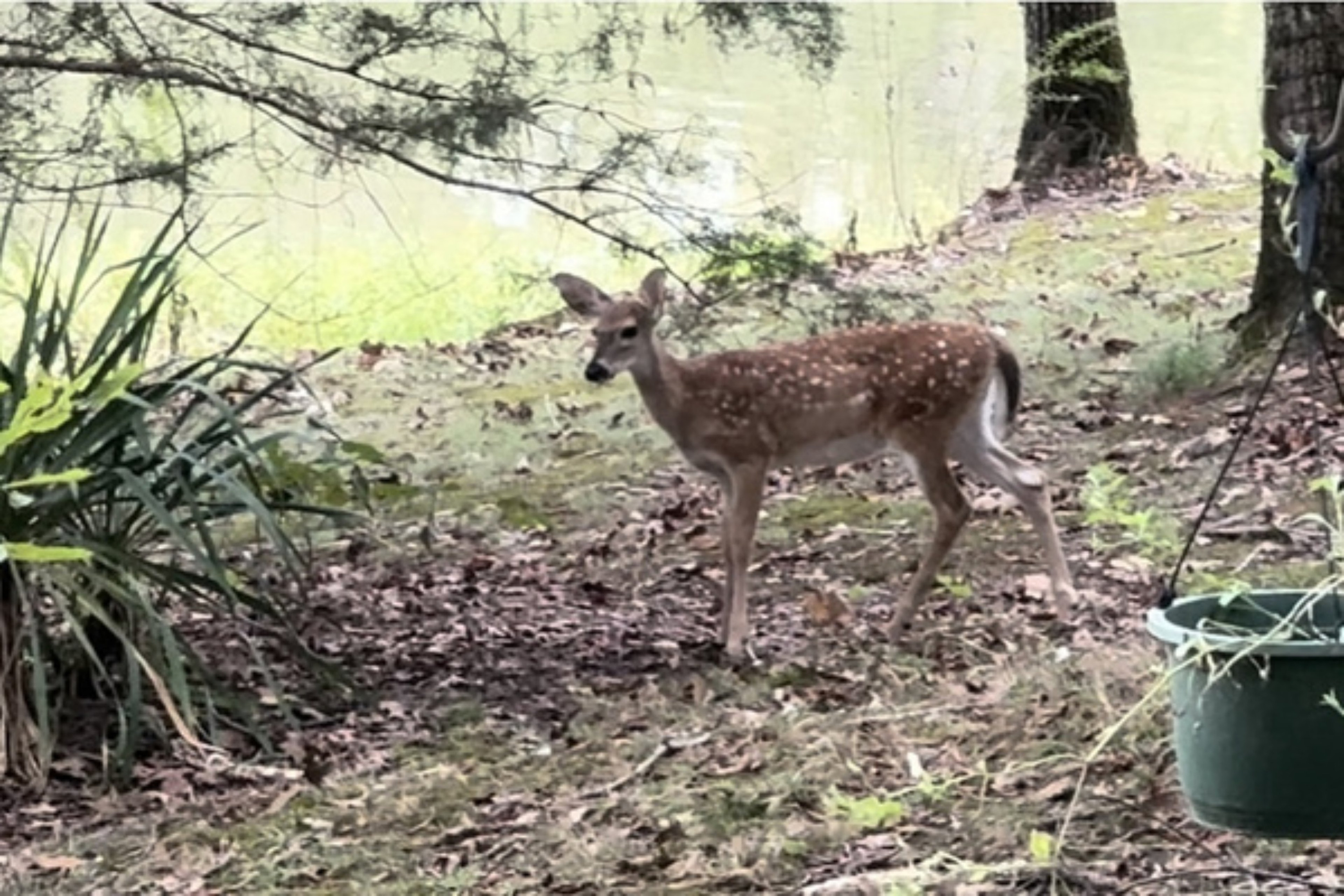 Nature at your doorstep!