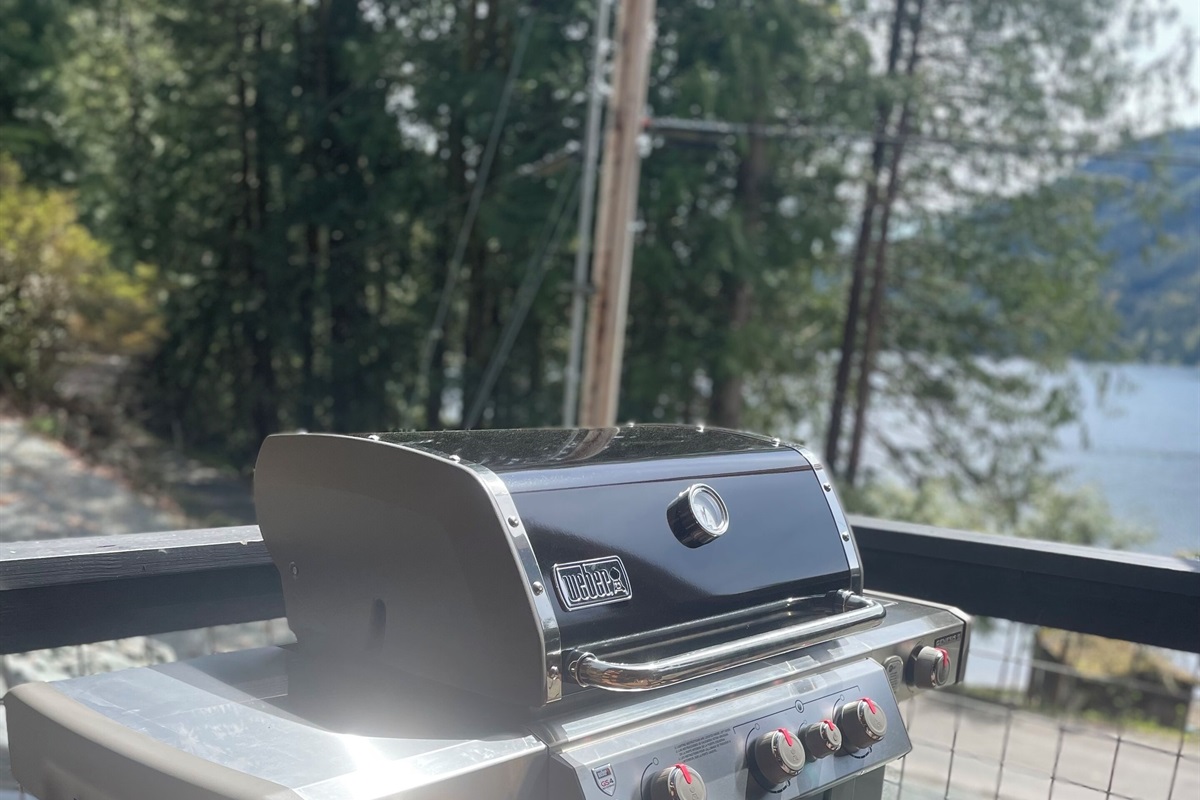 Weber grill that is easy to light and easy to use.