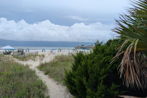 The walkway from the back yard to the beach.
