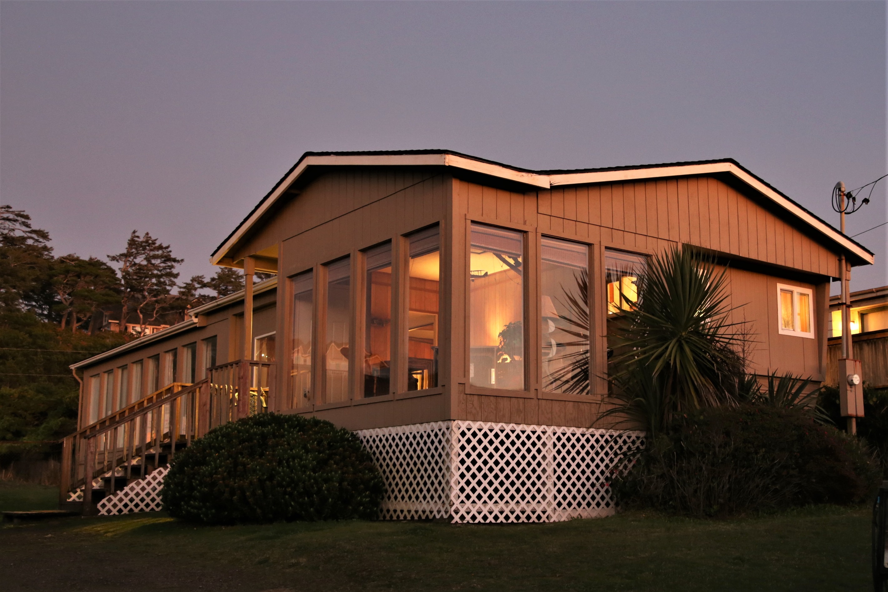 Sea Lion Surf at Dusk