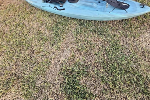 Kayaks 