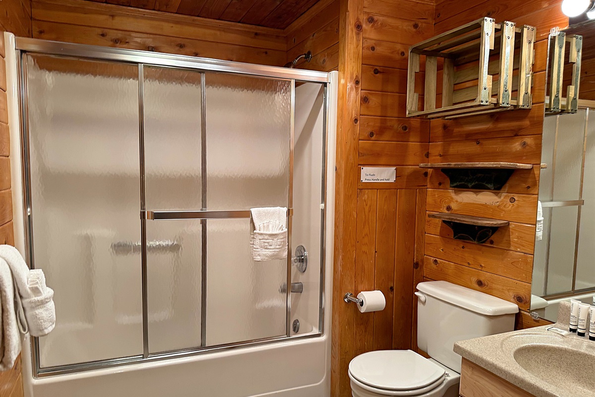 Lower level full bathroom