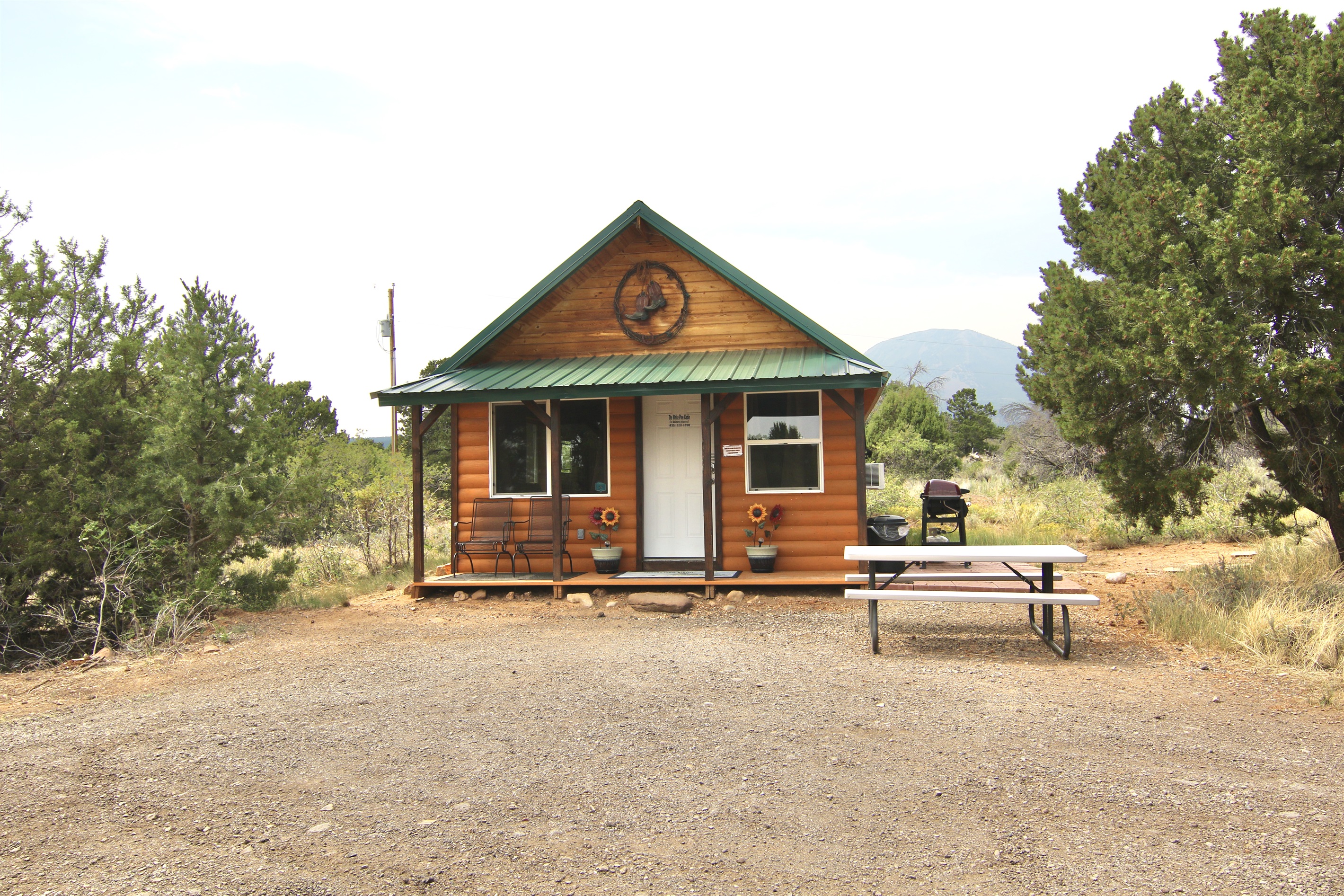 Exterior and Driveway