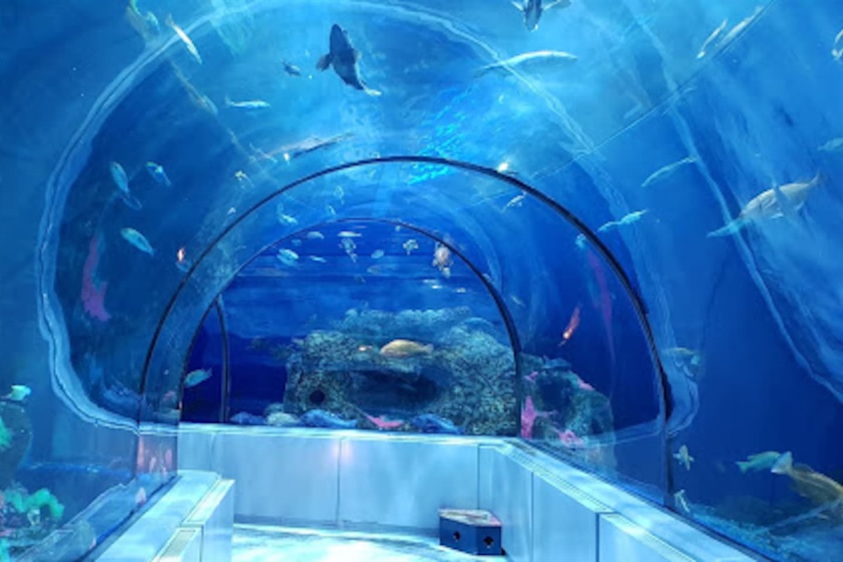 L'aquarium de Québec, une activité incontournable !