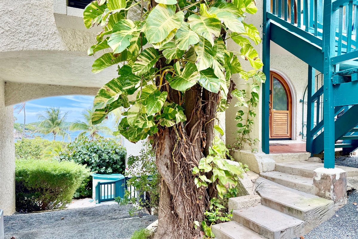 Front door of unit 33 is steps away from the beach entrance