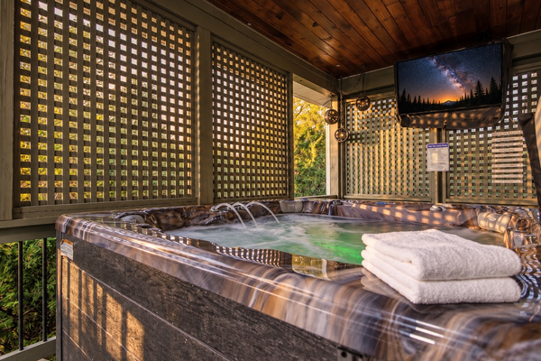 Private hot tub with its own TV under a covered porch, open year round