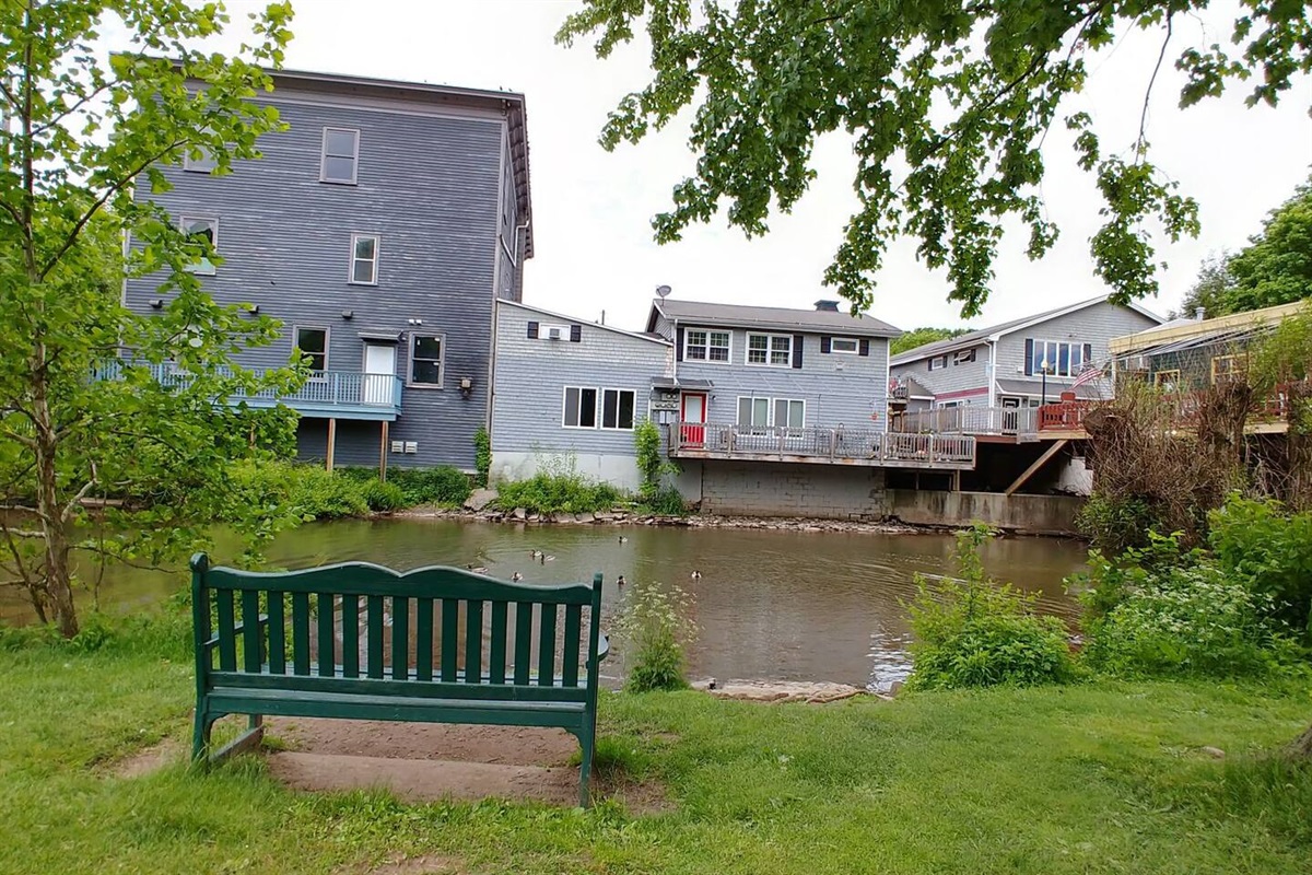 View from the park across from apartment. Great for chilling and duck watching. 