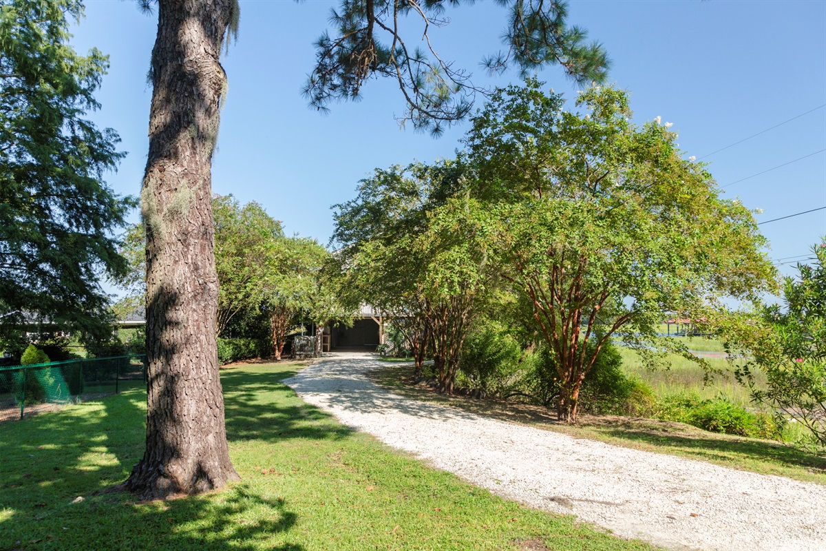 Peaceful gravel drive off the main road leads you straight to the cottage.