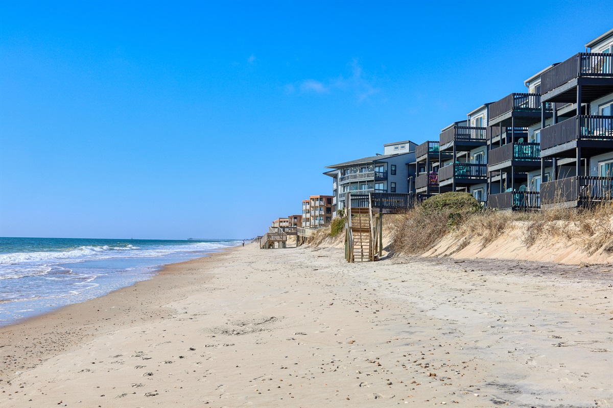 The serene beauty of the beach
