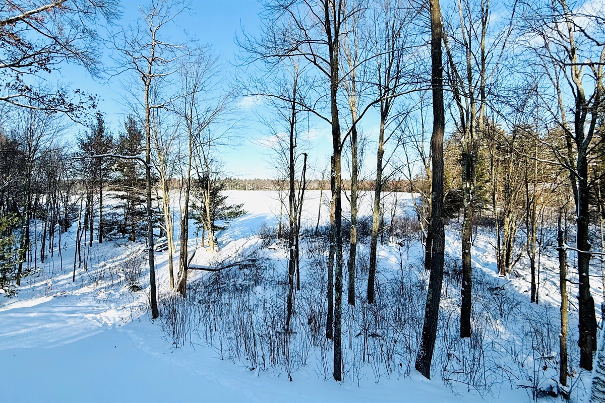 View from the deck facing the lake -- in Winter.