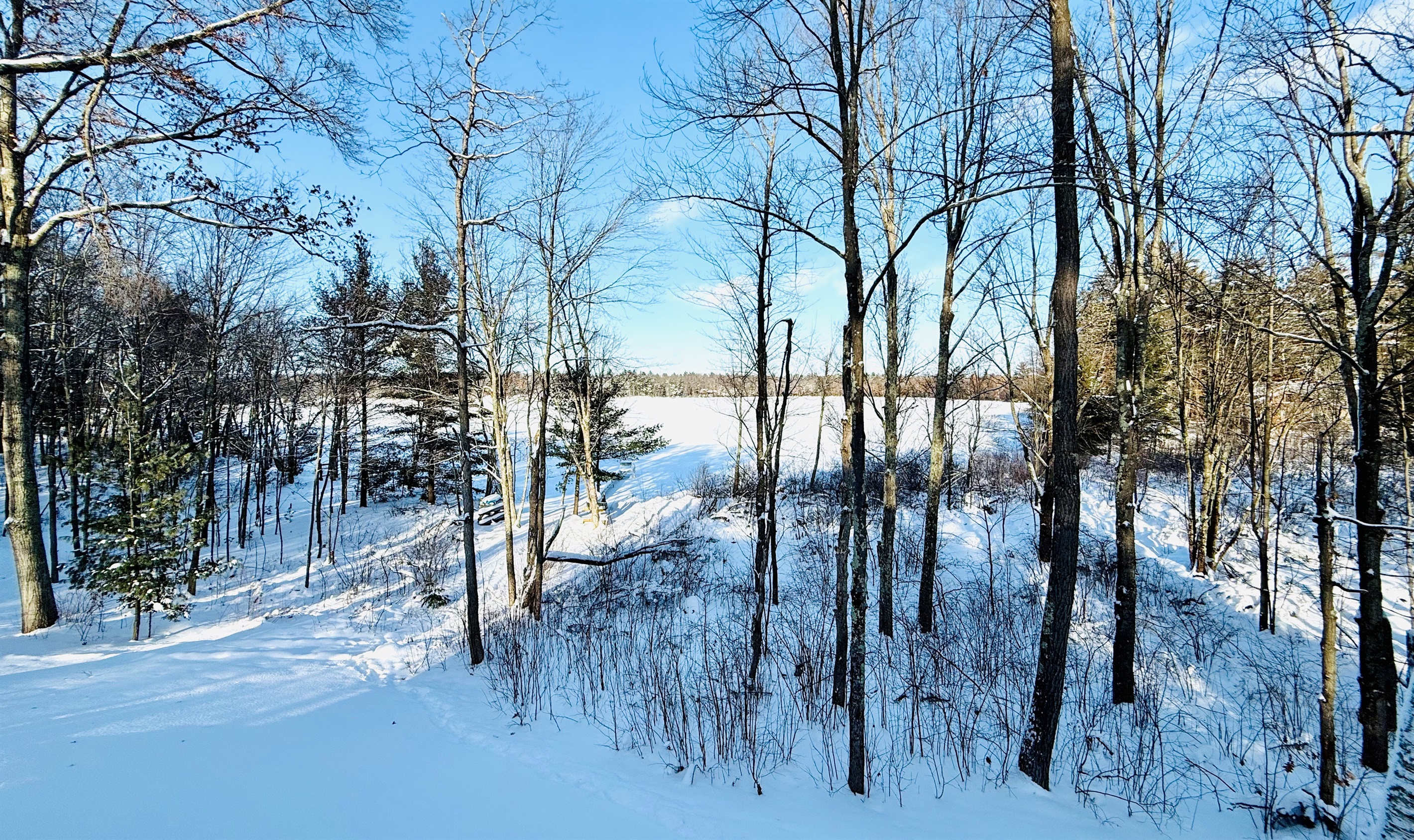 View from the deck facing the lake -- in Winter.