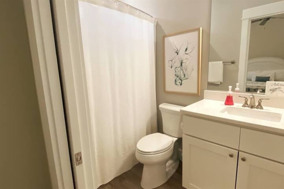 Guest en suite bathroom (hallway accessible)