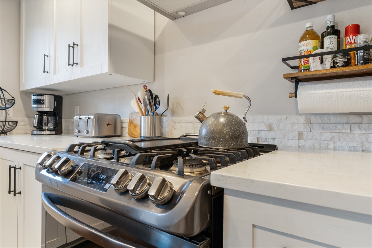 Gas stove and oven