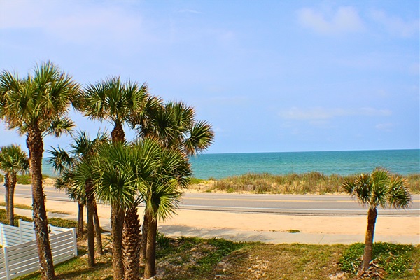 Oceanview Paradise: Sip your morning coffee with stunning beach views framed by swaying palms!
