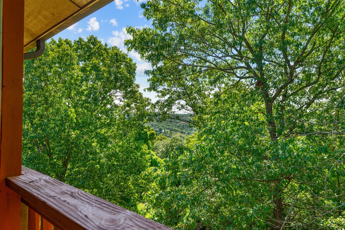 Leafy summer views make the deck feel private and tucked into the hillside.