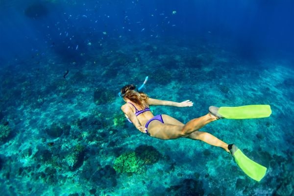 Our crystal clear waters make snorkeling is a family favorite—easy, fun, and full of surprises just beneath the surface of the Emerald Coast