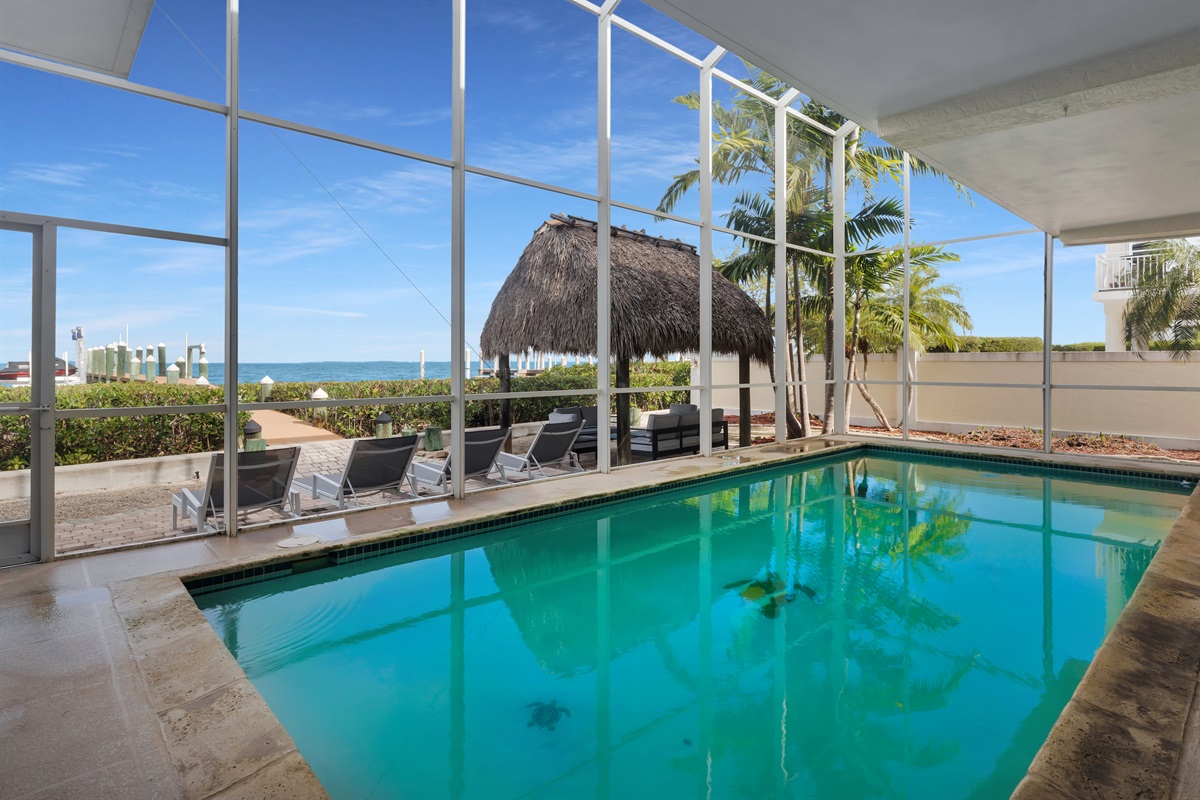 Sparkling pool overlooking the Florida Bay.