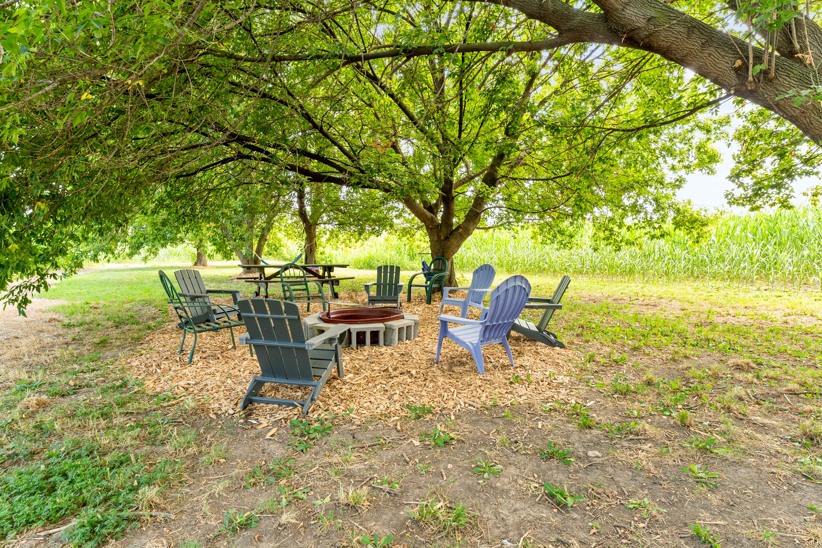 Unwind around the cozy fire pit with seating and picnic space nestled beneath the trees a short walk from the house.
