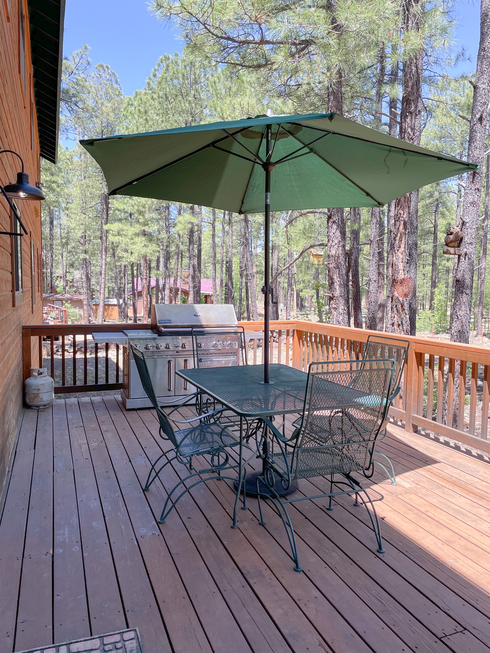 Back Deck and Grill - we provide propane.