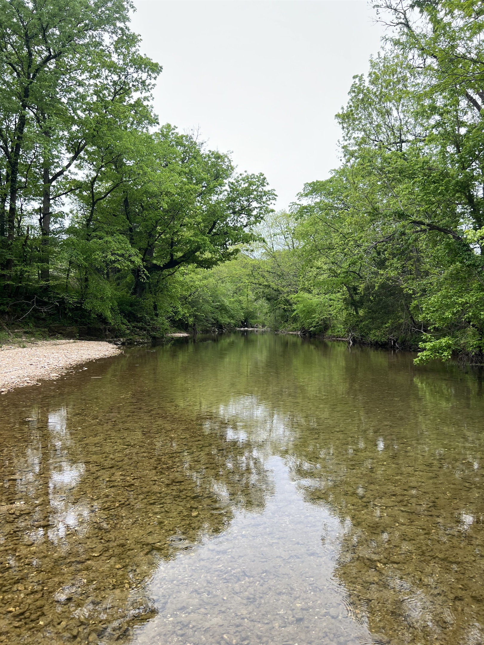 Tomahawk Creek Borders Nature's Loft