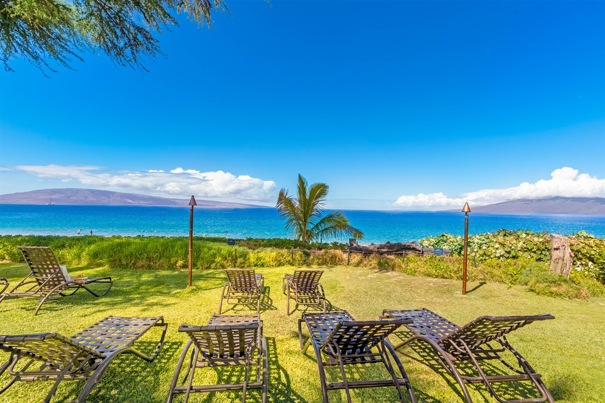 Oceanfront Chaise Lounges