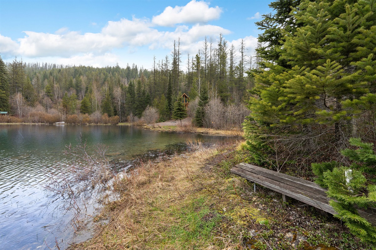 Spoon Lake Shore