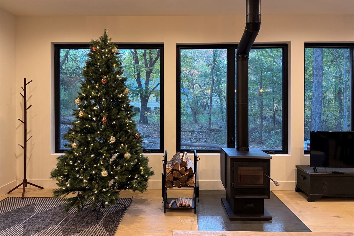 We decorate for Christmas! 