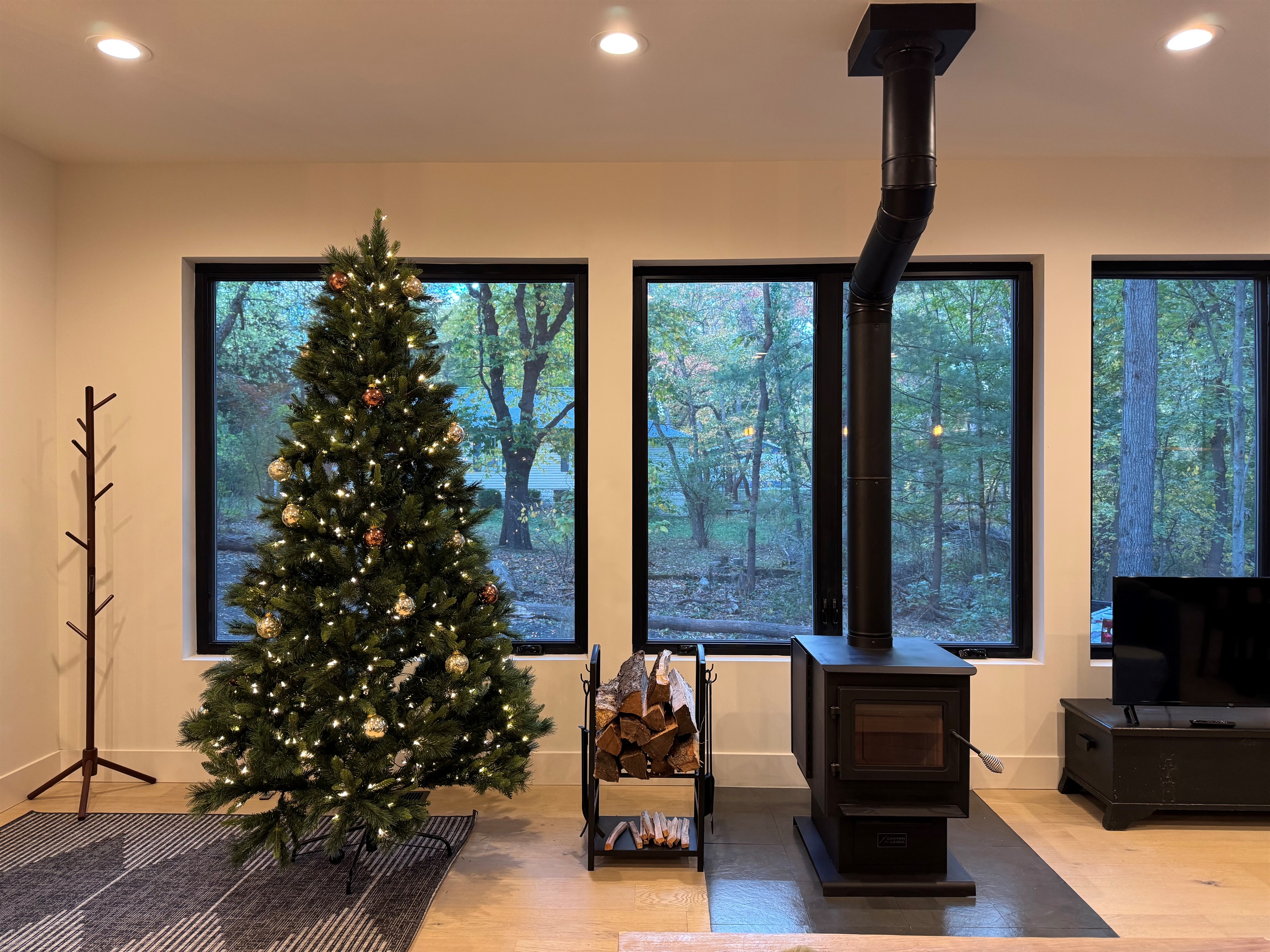 We decorate for Christmas! 