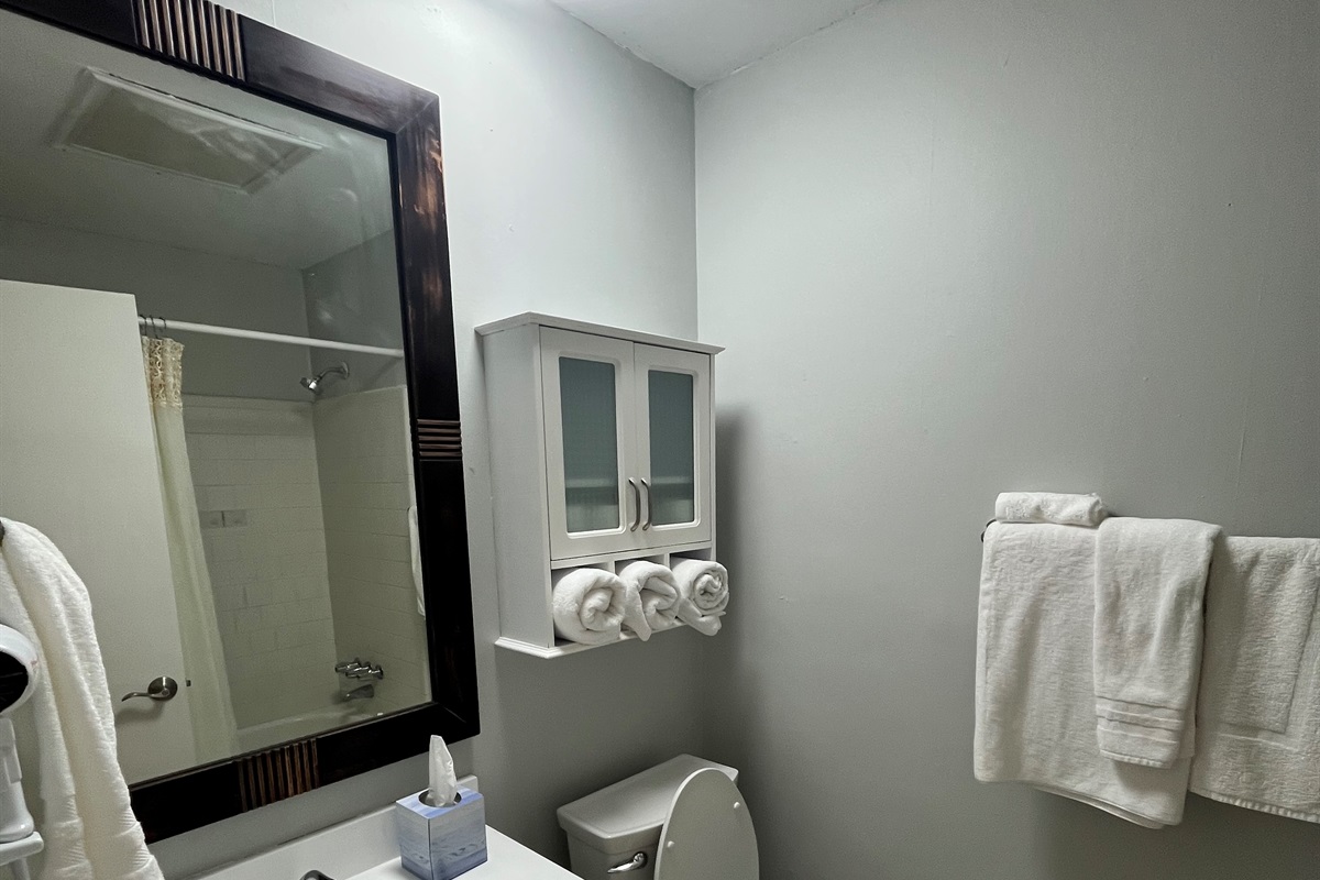 Guest full bathroom