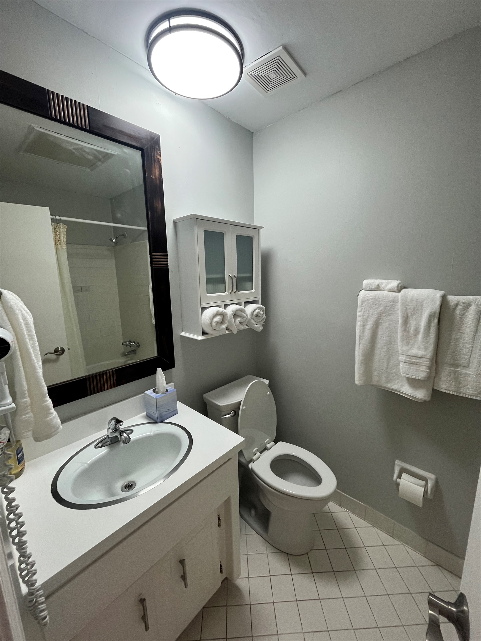 Guest full bathroom