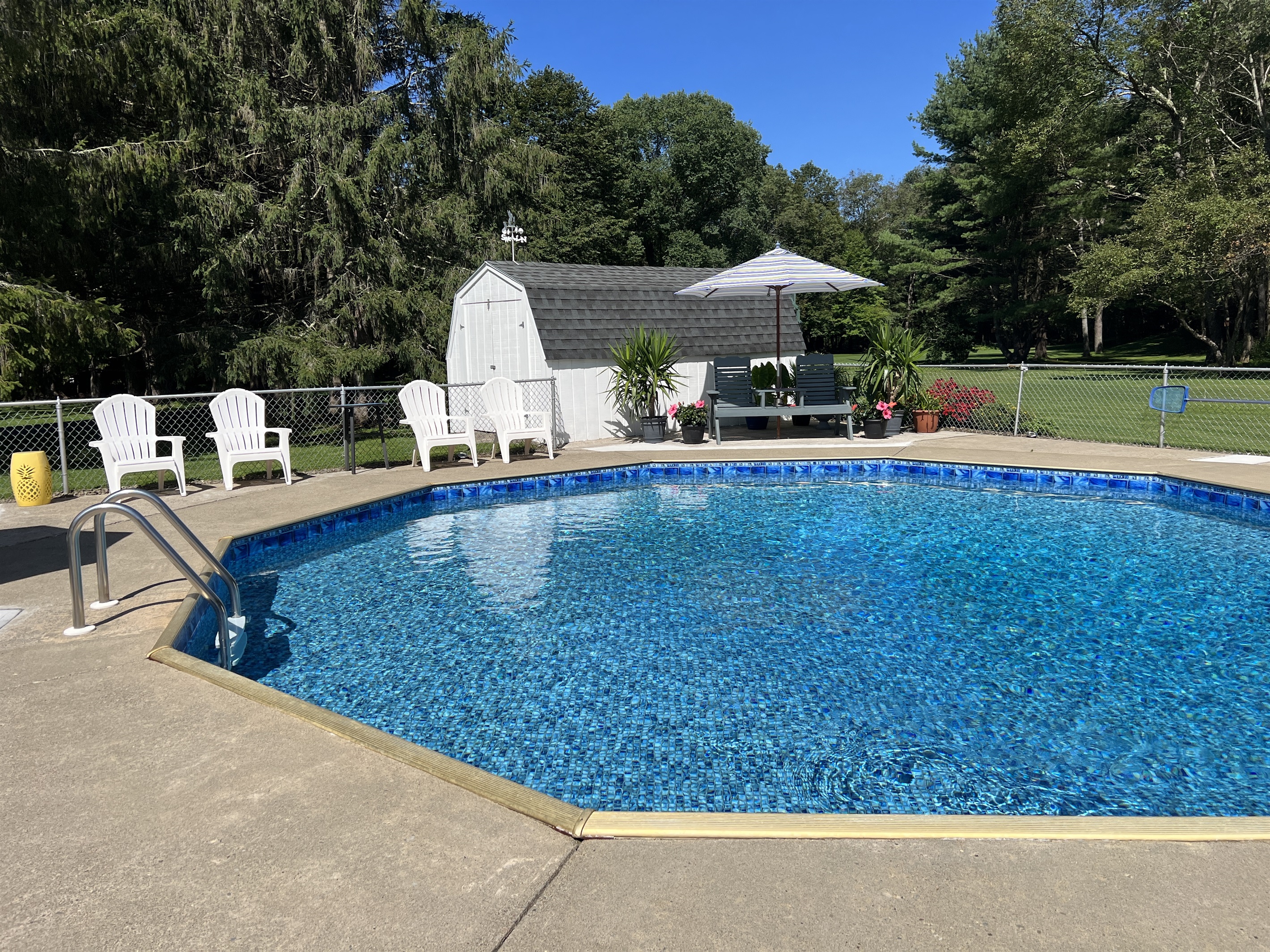Backyard Oasis