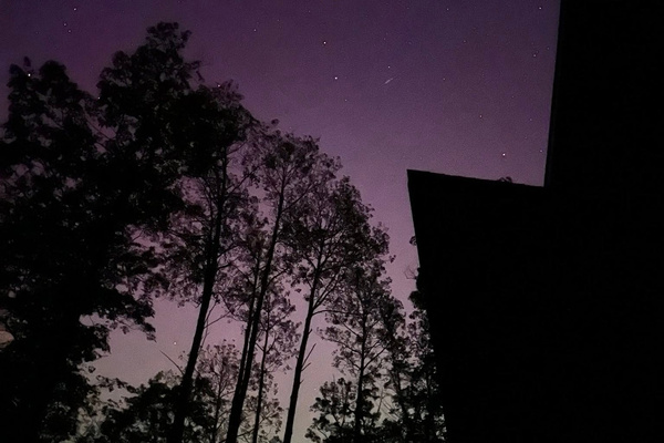 From the Deck