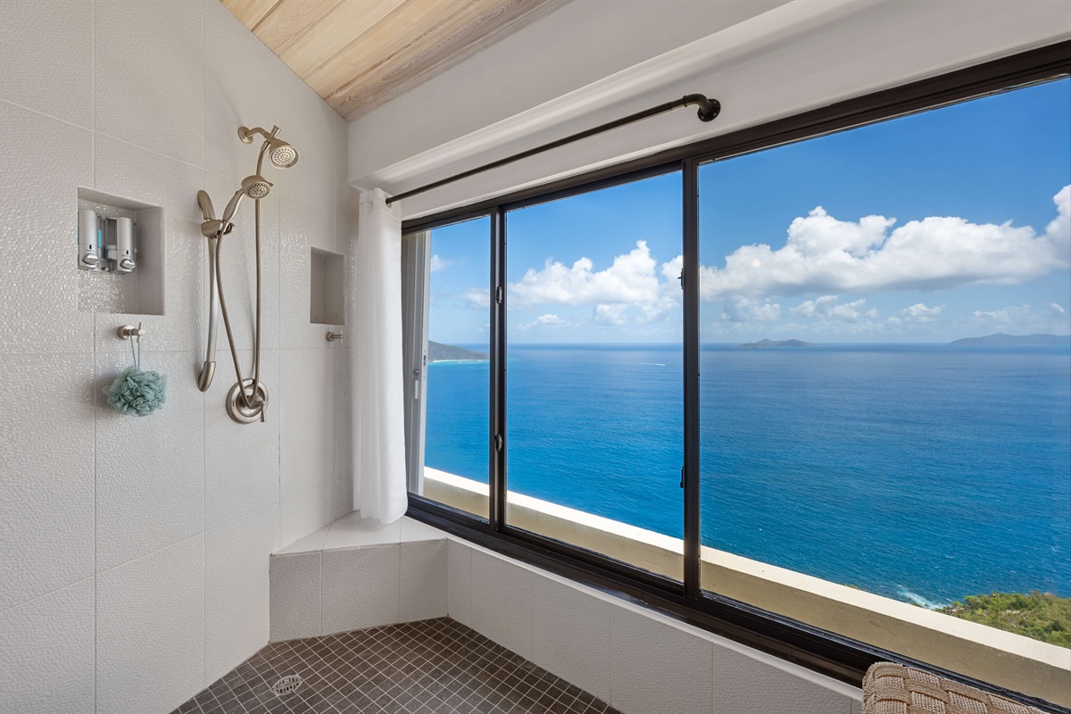 Primary bathroom - shower with a view!