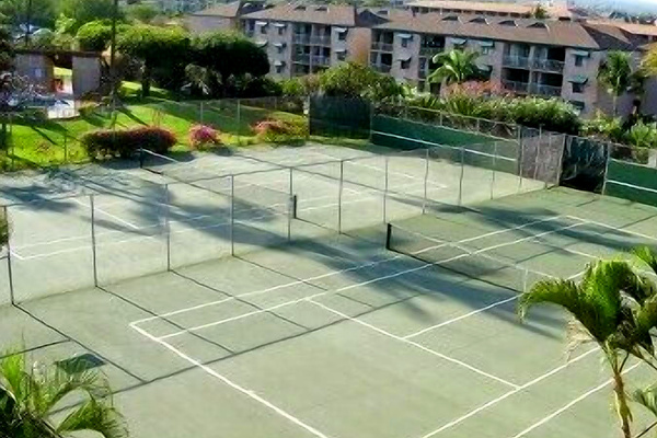 Championship tennis courts & NEW added Pickle Ball. Tennis lessons available.