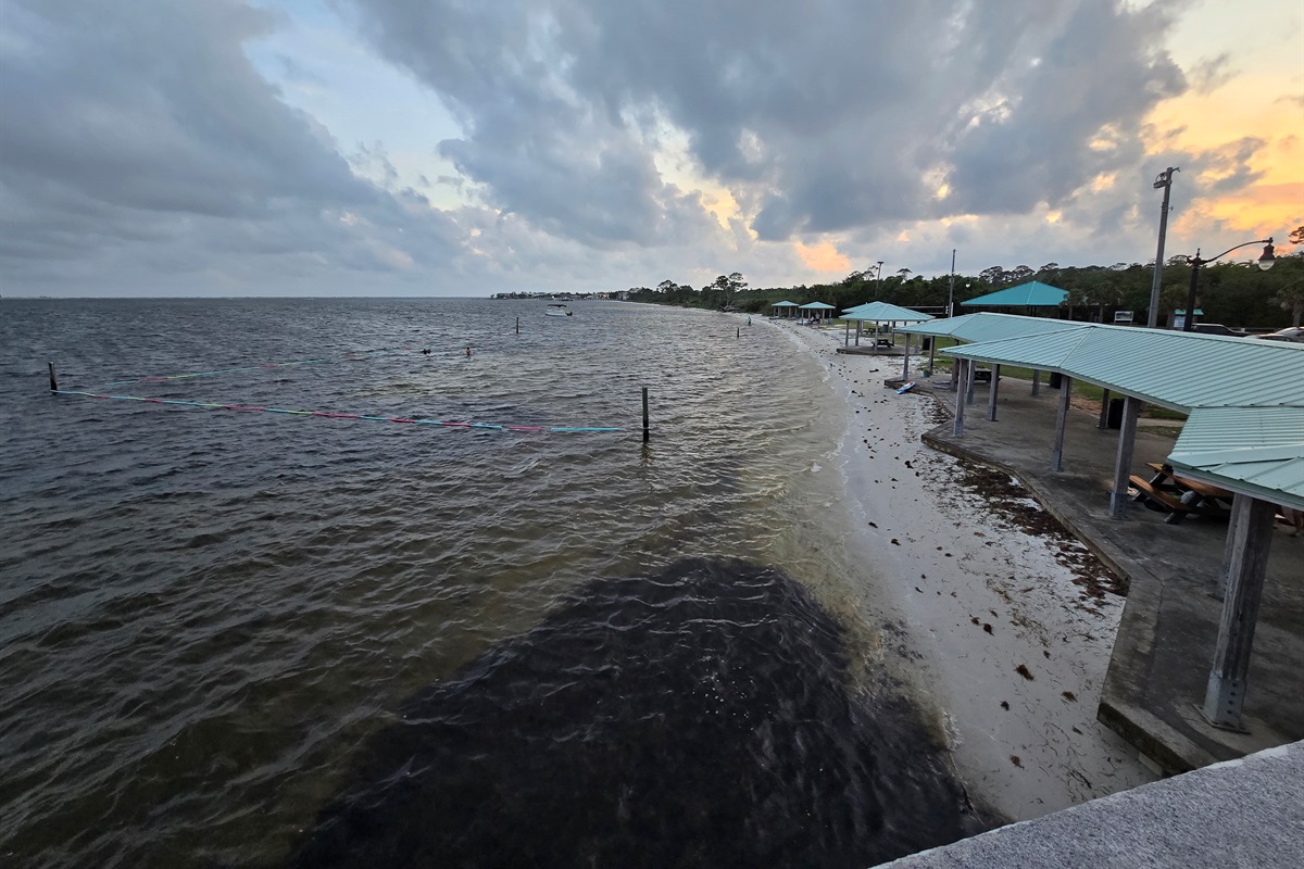 Great local parks for picnics and exploring.  Check out Shoreline Park!