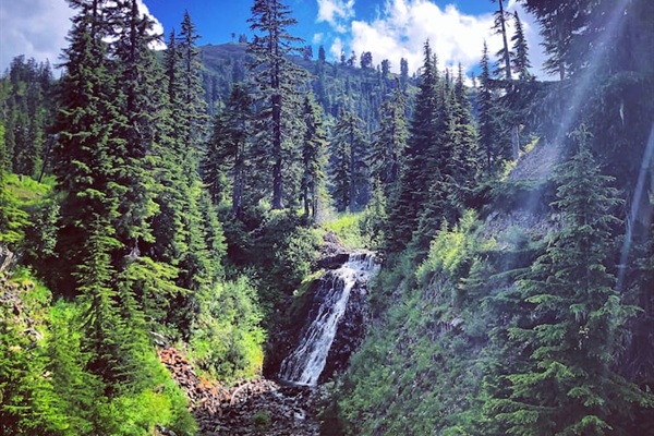 Summer views Mt Baker Ski Area