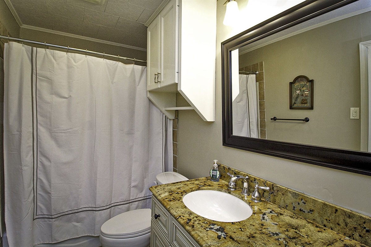 Downstairs Bathroom.  Tub / Shower Combination