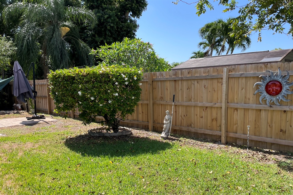 The backyard features a lovely bloom and lots of sunshine.