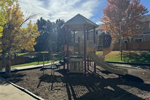 A vibrant playground bathed in sunlight, surrounded by refreshing trees and lush green grass. This inviting space features a cozy sitting area and a charming playhouse w/ slides, perfect for children to enjoy hours of fun & adventure in the great outdoor