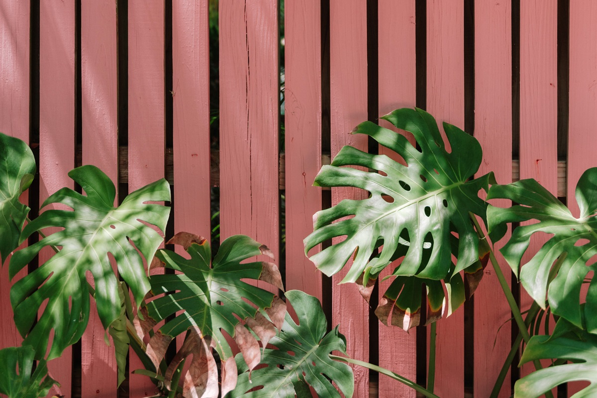 Lush plantings and colorful scenery is found in abundance around The Grove Club grounds.