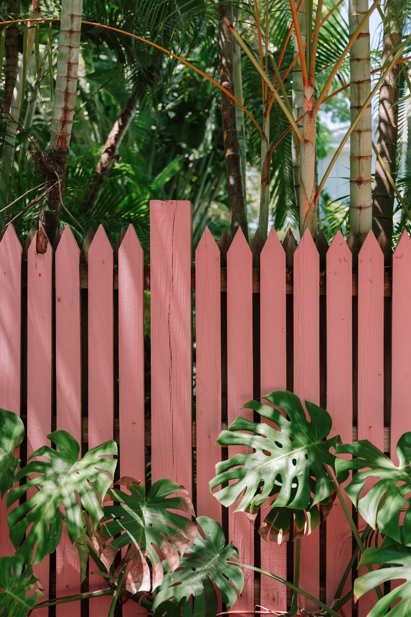 Lush plantings and colorful scenery is found in abundance around The Grove Club grounds.