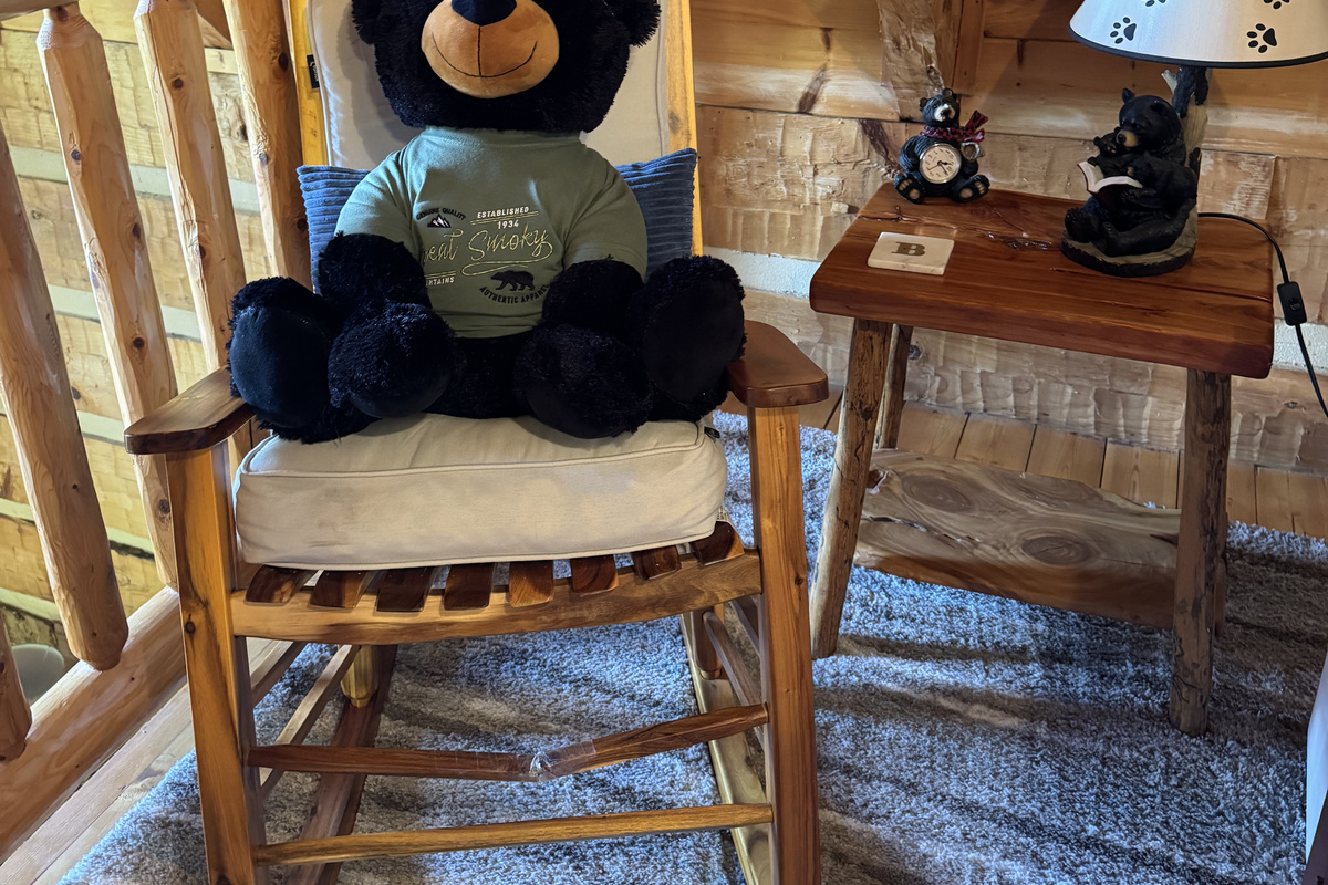 Your host Ridge Bear, fully unplugged.