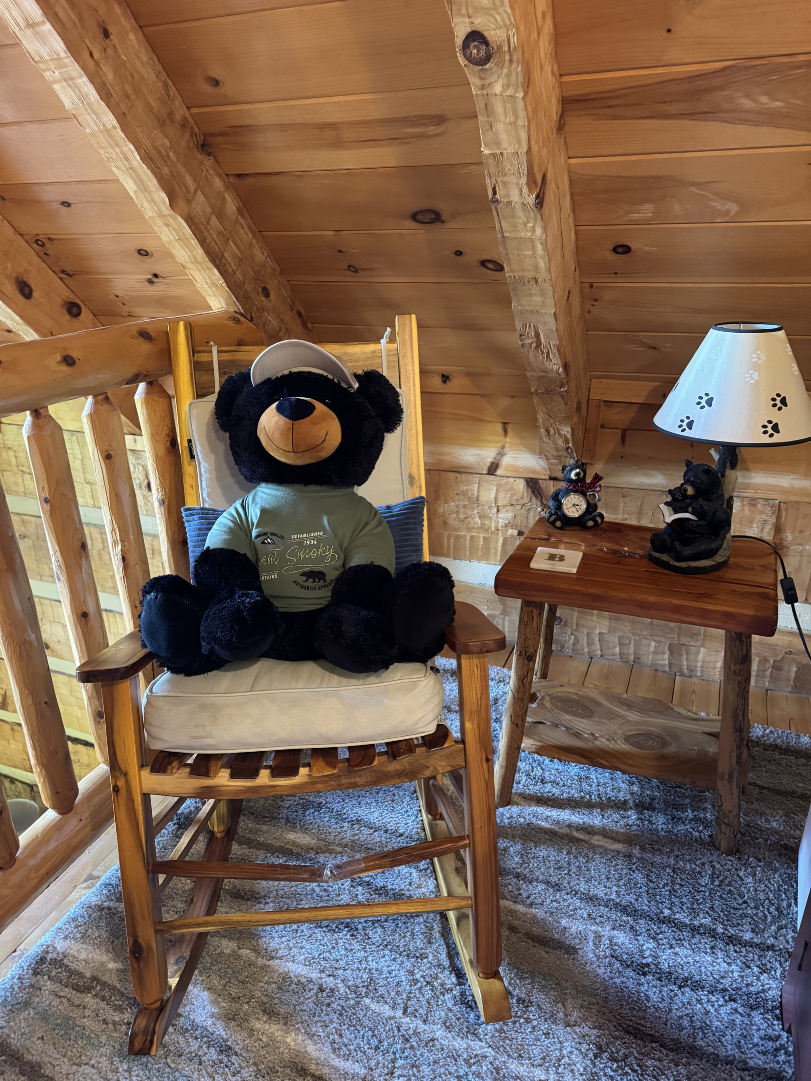 Your host Ridge Bear, fully unplugged.