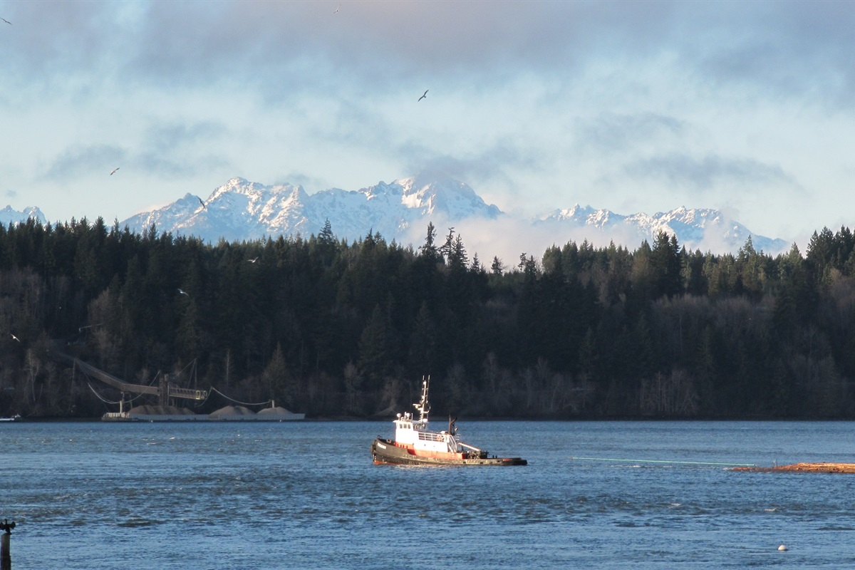 With Shelton's active logging industry, tugboats often go by hauling gravel or logs. (photo by neighbor Allen & Megan)  