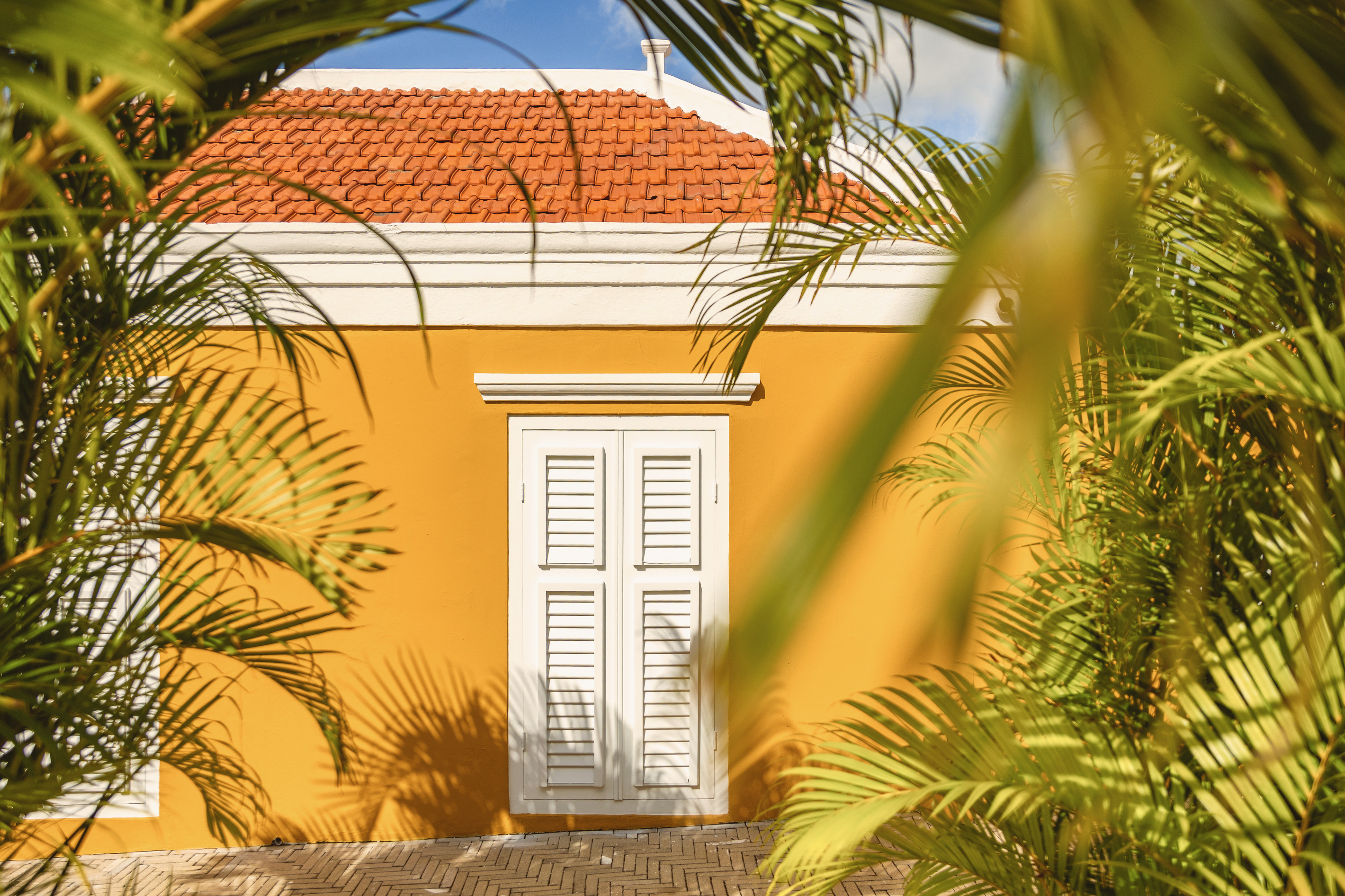 Villa Grandi Estate – Garden view